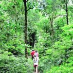 Bali: Munduk, Tamblingan Lake Trekking and Canoeing - The Canoeing Experience: Peace on the Water