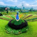 Bali: Natures Bloom, Lake Reflections and Strawberry Bliss - Bali Botanical Garden: A Sanctuary of Native Plants