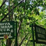 Bali: North Bali Private Tour With Flexible Itenarary - Itinerary Breakdown: What You Can Expect