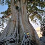 Bali: Nung-Nung Waterfall & Rice Terraces Tour - An In-Depth Look at the Tour Experience