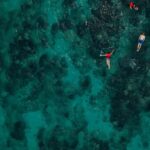 Bali/Nusa Dua: Snorkeling, Glass Boat Ride & Turtle Center - The Itinerary Breakdown: What’s Included