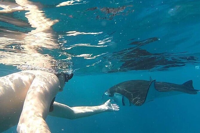 Bali Nusa Penida Snorkeling Tour West - What Makes This Tour Stand Out