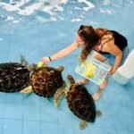 Bali: Nusa Penida: Turtle Conservation, Massive Cave Temple - Turtle Conservation: A Heartwarming Encounter