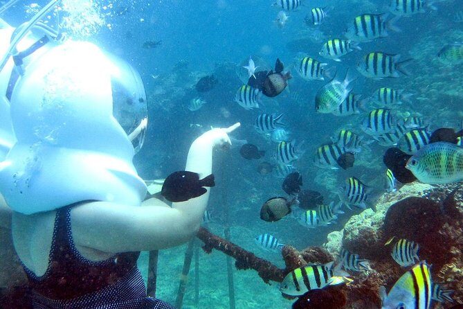 Bali Ocean Walker - What’s Included and What isn’t