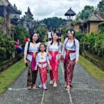 Bali: Panglipuran Village Tour with Traditional Dress - Who Will Find This Tour Most Valuable?
