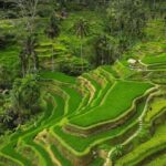 Bali: Penglipuran Village, Rice Terrace & Waterfall Tour - Exploring the Heart of Bali: What You Can Expect