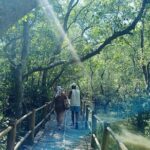 Bali: Point of Bliss massage with mangrove Kayaking and GWK Park - Why This Tour Offers Great Value