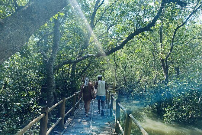 Bali: Point of Bliss massage with mangrove Kayaking and GWK Park - Why This Tour Offers Great Value