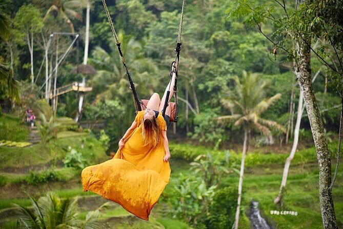 Bali Private Car Hire with English-Speaking Driver - The Itinerary: What You Can Expect