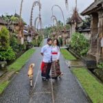 Bali: Private Day Trip to Waterfall & Traditional Village - The Value of a Private Tour