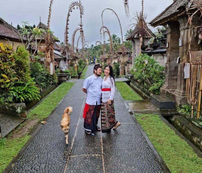 Bali: Private Day Trip to Waterfall & Traditional Village - The Value of a Private Tour