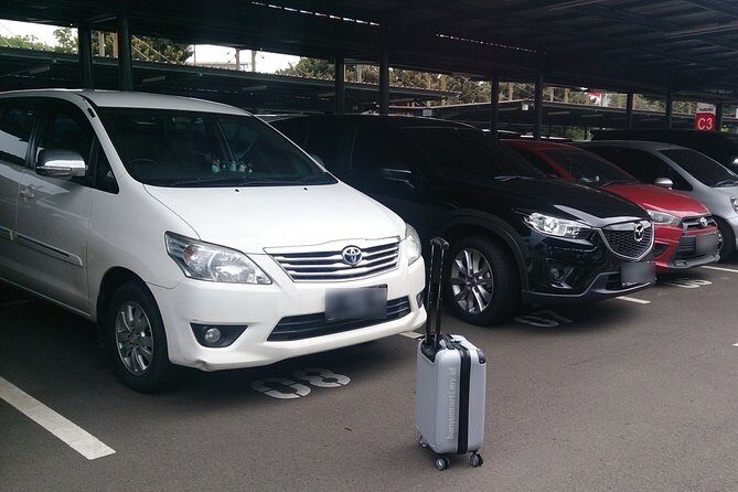 Bali Private Pick up Airport to Ubud Hotels - Who Should Book This Transfer?