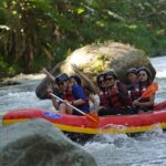 Bali Private Rafting - The Value and Practicalities