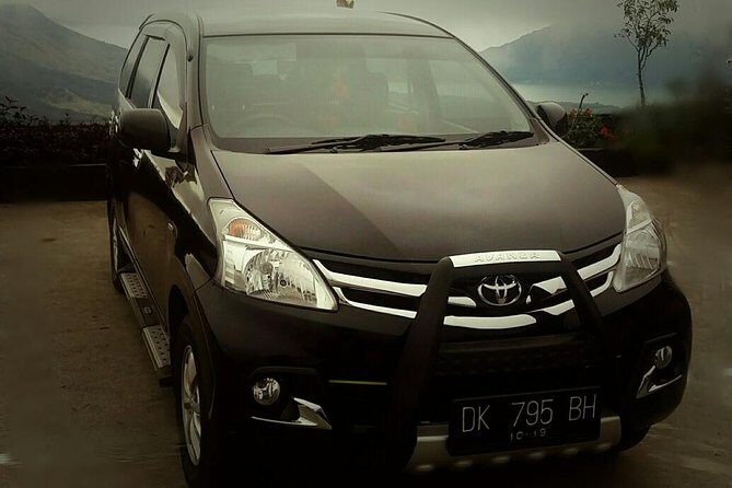 Bali Private Transfer: Round Trip Ngurah Rai Airport-Ubud Area - Who Will Love This Service?