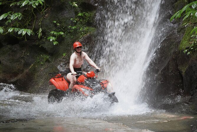 Bali Quad Biking Jungle Exploration with Buffet Lunch - Authentic Traveler Insights