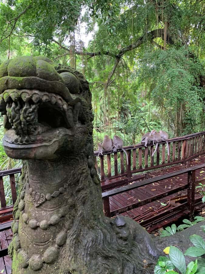 Bali Rafting ayung River Combination Private Ubud Tour - Practical Details & Tips