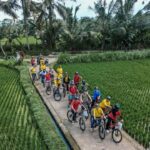 Bali: Rice Field and Village Cycling Tour with Guide - Who’s This Tour Best For?