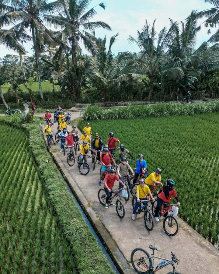 Bali: Rice Field and Village Cycling Tour with Guide - Who’s This Tour Best For?