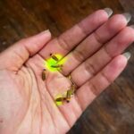 Bali: Rice Terraces, Coffee Tasting & Dinner by Fireflies - An In-Depth Look at the Experience