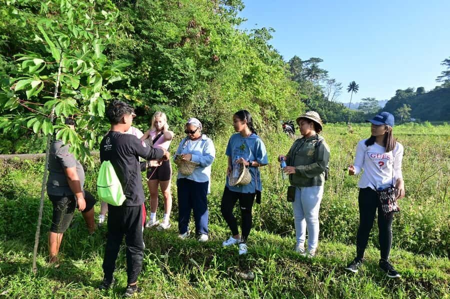 Bali Rice Terraces & Cultural Temples Tour - The Scenic Rice Terraces