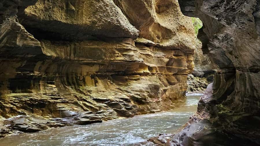 Bali: Rural Trekking and River Adventure Tour - What Makes This Tour Valuable?