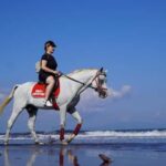 Bali: Saba Beach Horseback Riding Experience - What to Expect on Your Ride