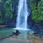 Bali : Sacred Temples & Rice Terraces full day, Private Tour - Practicalities and What to Expect