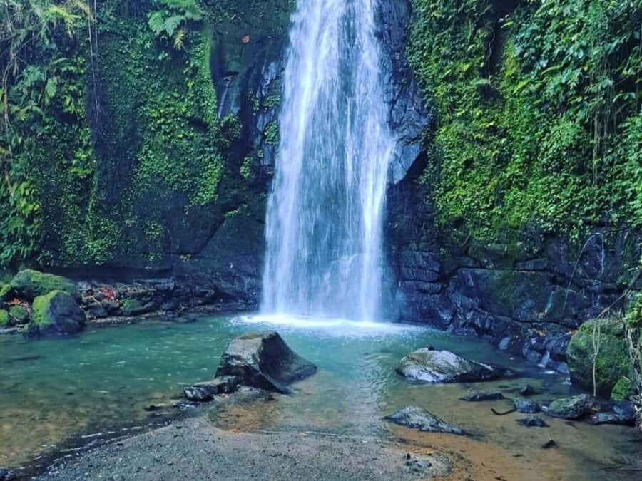 Bali : Sacred Temples & Rice Terraces full day, Private Tour - Practicalities and What to Expect