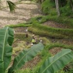 Bali: Sacred Water Temple Ritual and Balinese Healing Spa - Exploring the Water Temple: Pura Gunung Kawi Sebatu