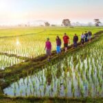 Bali Sambangan Waterfall, Rice Field, Secret Garden Tour - What Makes This Tour Special?