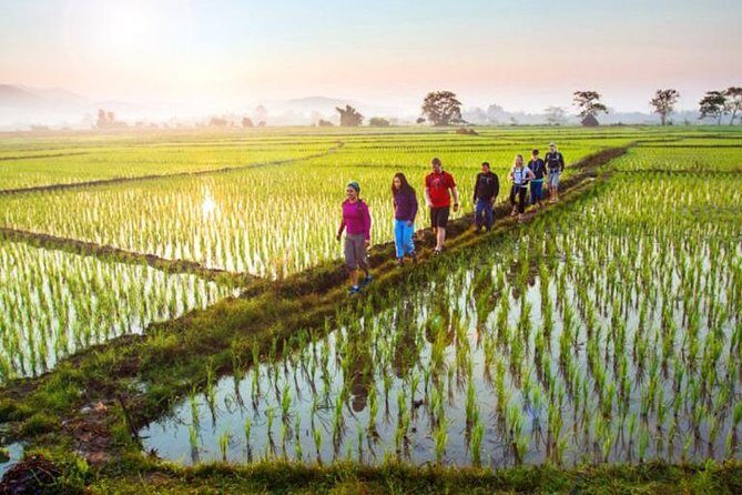Bali Sambangan Waterfall, Rice Field, Secret Garden Tour - What Makes This Tour Special?
