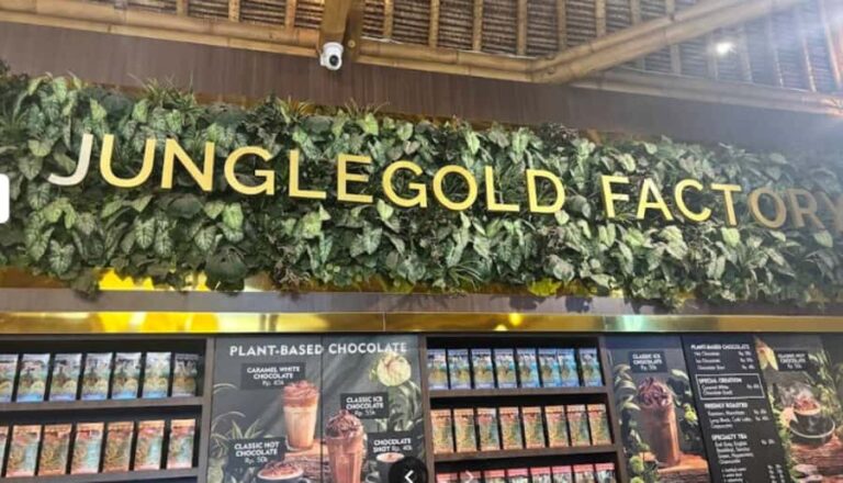 Bali: Sangeh Monkey Forest, Chocolate Factory & Temple Tour - Practical Details & Tips