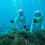 Bali Sea Walker Adventure in Tanjung Benoa with Transport - The Practicalities: What You Need to Know