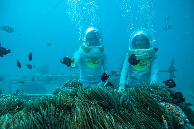 Bali Sea Walker Adventure in Tanjung Benoa with Transport - The Practicalities: What You Need to Know