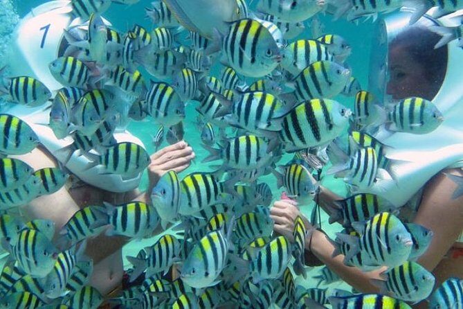 Bali Sea Walker Water Sport Nusadua - Exploring Bali Sea Walker Water Sport in Tanjung Benoa