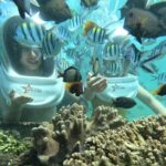 Bali Sea Walker Watersport - Authentic Insights from Reviews