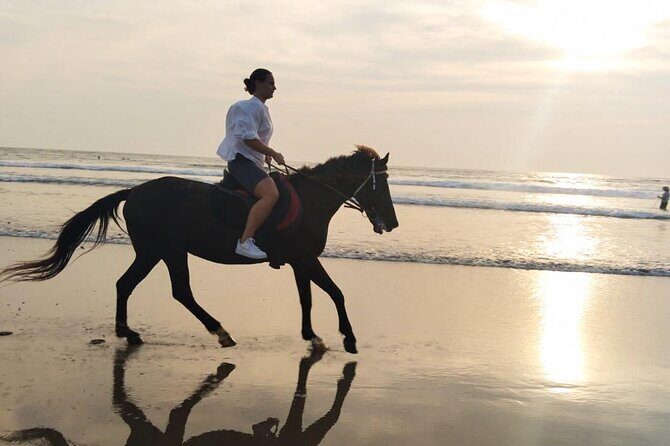 Bali Seminyak Beach Horse Riding with Private Pick Up - The Sum Up: Who Will Love This Tour?