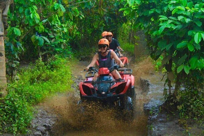 Bali Shore Excursions From Celukan Bawang Cruise Port Day Tour - Starting Point: Pickup at Celukan Bawang