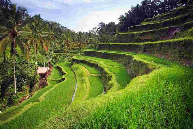 Bali Sightseeing Tours and Tegenungan Waterfall - Detailed Breakdown of the Itinerary