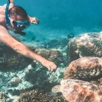 Bali Snorkeling at Blue Lagoon and Tanjung Jepun - Practical Tips for a Great Experience