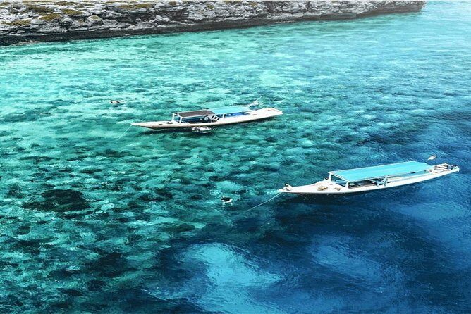 Bali Snorkeling at Blue Lagoon & Tanjung Jepun Beach: All-Inclusive - What Travelers Are Saying (Based on Reviews)