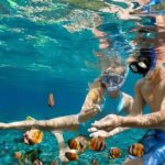 Bali Snorkeling Blue lagoon All Inclusive - What’s Included & What’s Not