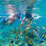 Bali Snorkeling Blue Lagoon and ATV Quad Bike Adventure - Who Will Love This Tour?