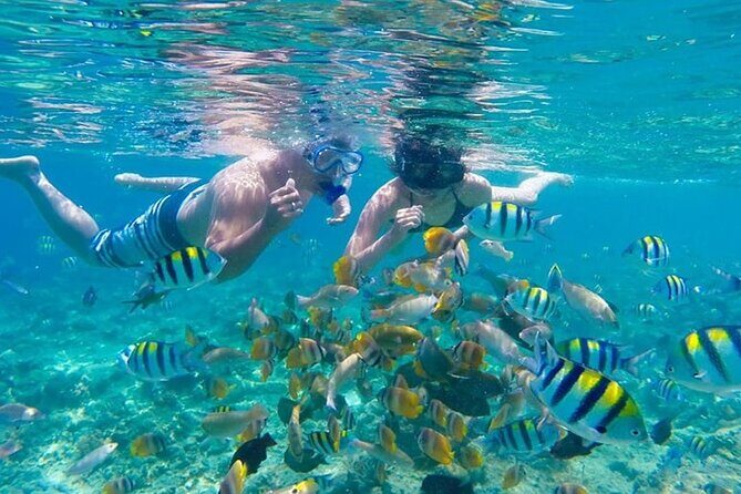 Bali Snorkeling Blue Lagoon and ATV Quad Bike Adventure - Who Will Love This Tour?