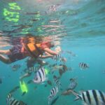 Bali: Snorkeling Experience in Blue Lagoon and Tanjung Jepun - Practical Tips for a Smooth Experience