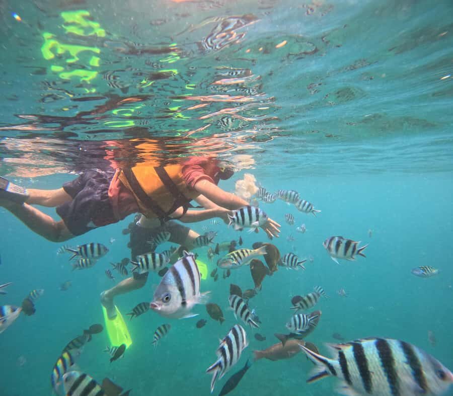 Bali: Snorkeling Experience in Blue Lagoon and Tanjung Jepun - Practical Tips for a Smooth Experience
