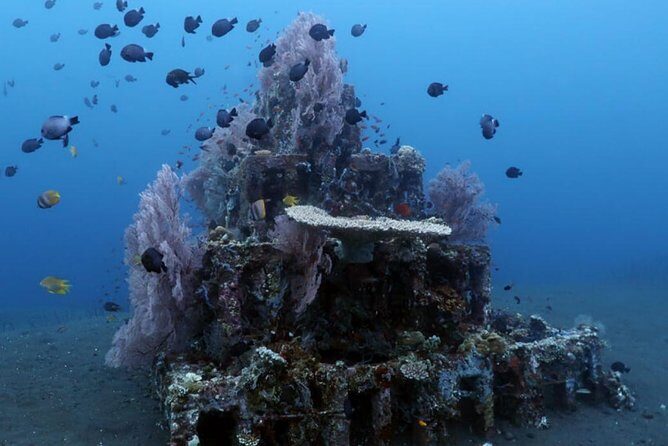 Bali Snorkeling Tour at Amed - Detailed Breakdown of the Itinerary