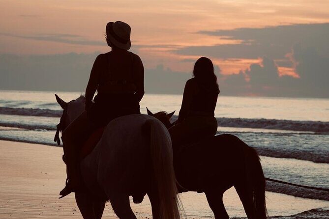 Bali Sunrise Horse Riding Experience Include Transfer - What Makes This Experience Stand Out?