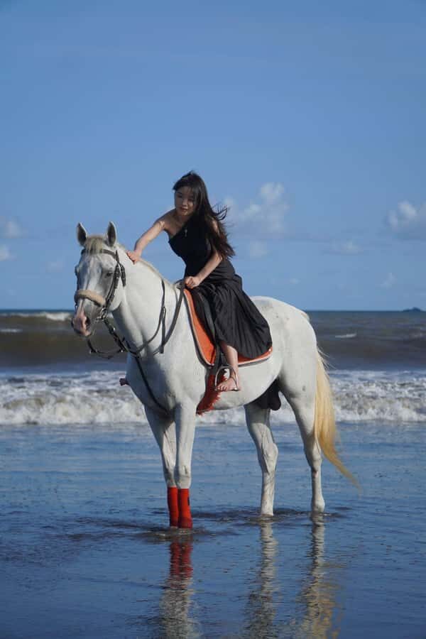 Bali: Sunrise Horse Riding Sanur Beach Experience - What to Expect During the Ride