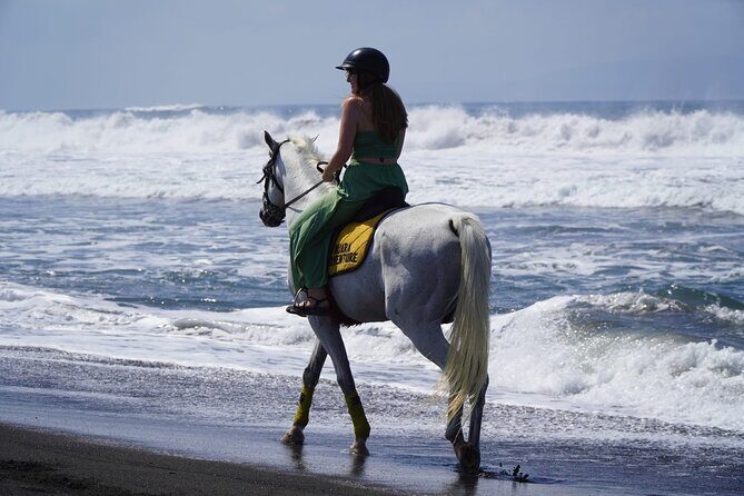 Bali Sunrise Horse Riding Sanur Beach Tour Include Transport - What to Expect from the Tour